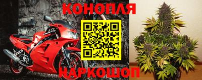 амф Сосновый Бор