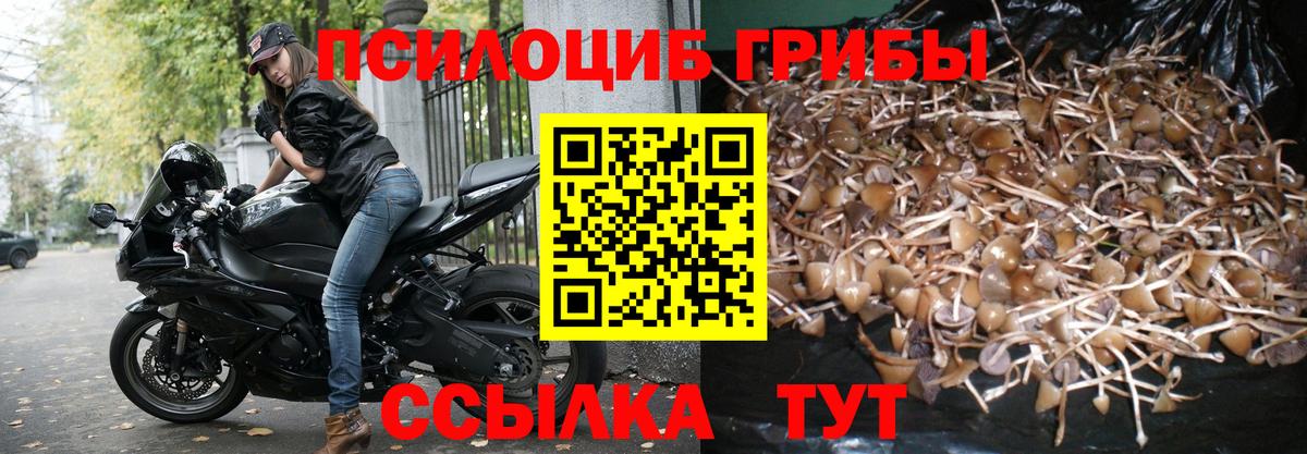 Галлюциногенные грибы прущие грибы Бердск