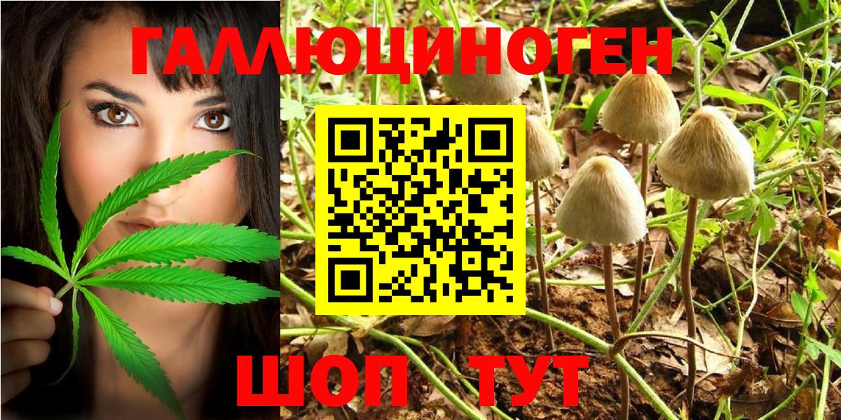 Псилоцибиновые грибы MAGIC MUSHROOMS  Вход с VPN  Галлюциногенные грибы GOLDEN TEACHER  Бердск 